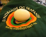 Kvitebjørnen i Sunnylven